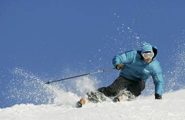 77 fullträffar i fjällen